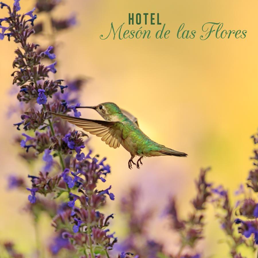 Hotel Meson De Las Flores Armenia  Exterior photo
