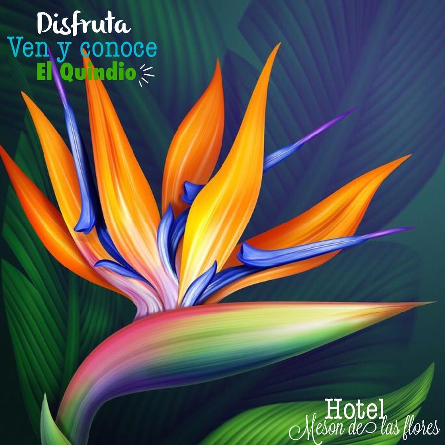 Hotel Meson De Las Flores Armenia  Exterior photo